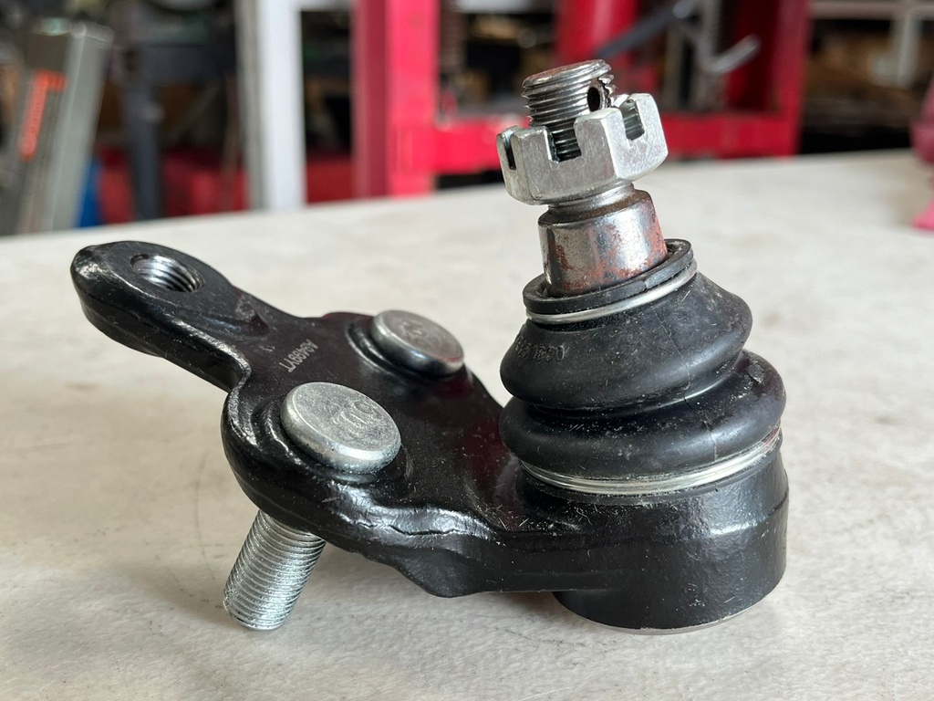 Rotula Inferior Toyota Camry 1992-2001 / Sienna 2WD 1998-2003 / Solara 1999-2003 / Lexus ES300 1992-2001 / RX300 2WD 1999-2003