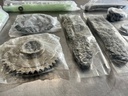 KIT DISTRIBUCION FORD 4.6L V8 09/14