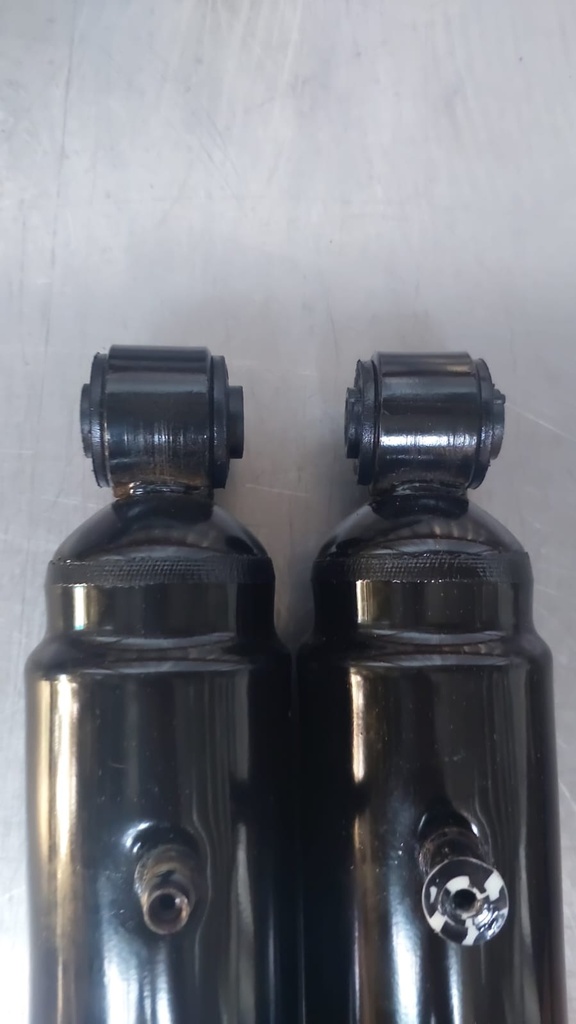 Amortiguadores traseros para Chevrolet Silverado 1500 99-01