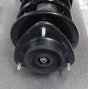 Compensador delantero para Subaru Legacy 2005-2009