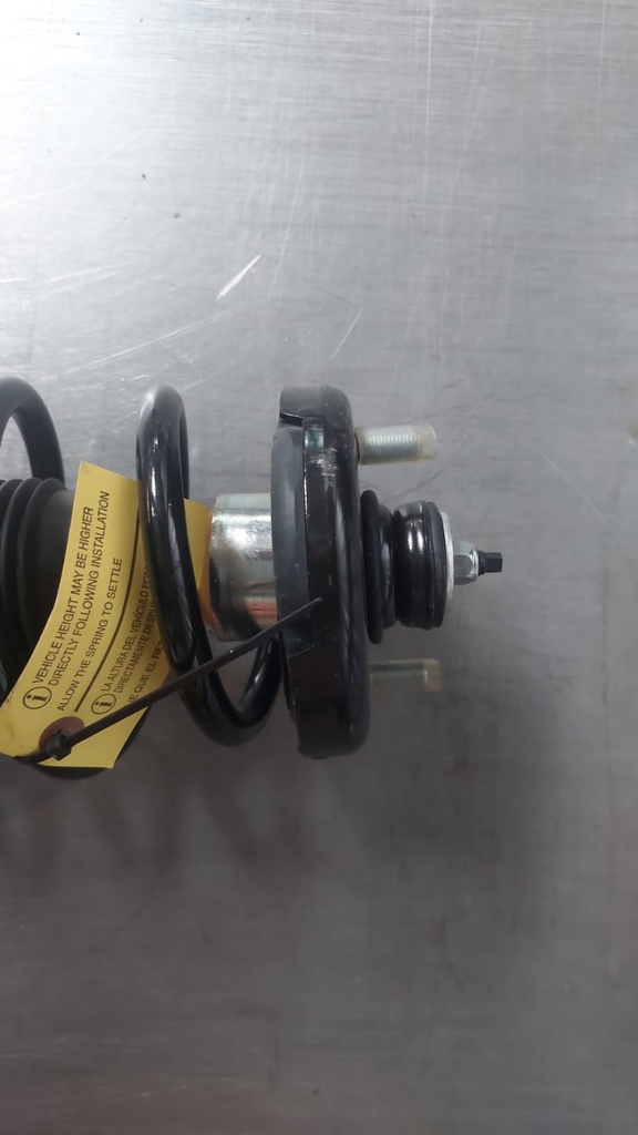 Compensadores traseras derecho para Honda Accord 98-02