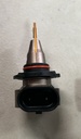Luces Led H10