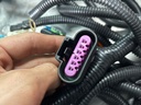 Arnés de Cableado para Swap de Motor Chevrolet V8 LS2 / LS3 6.2L 2006-2015