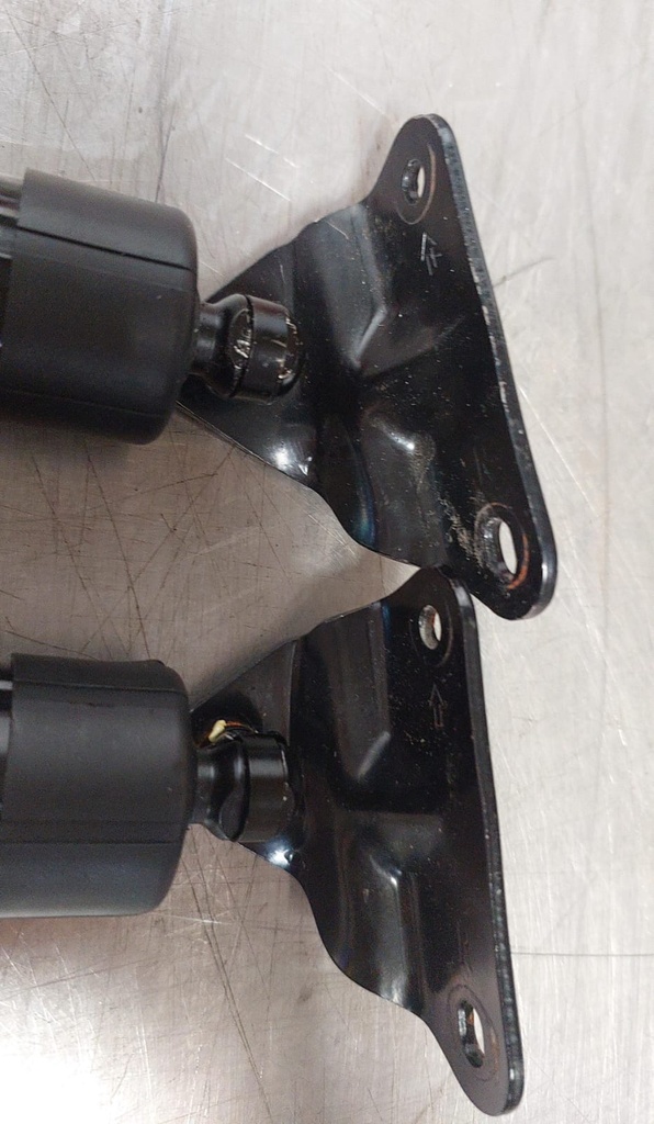 Pistones de compuerta para Toyota RAV4 2013-2016