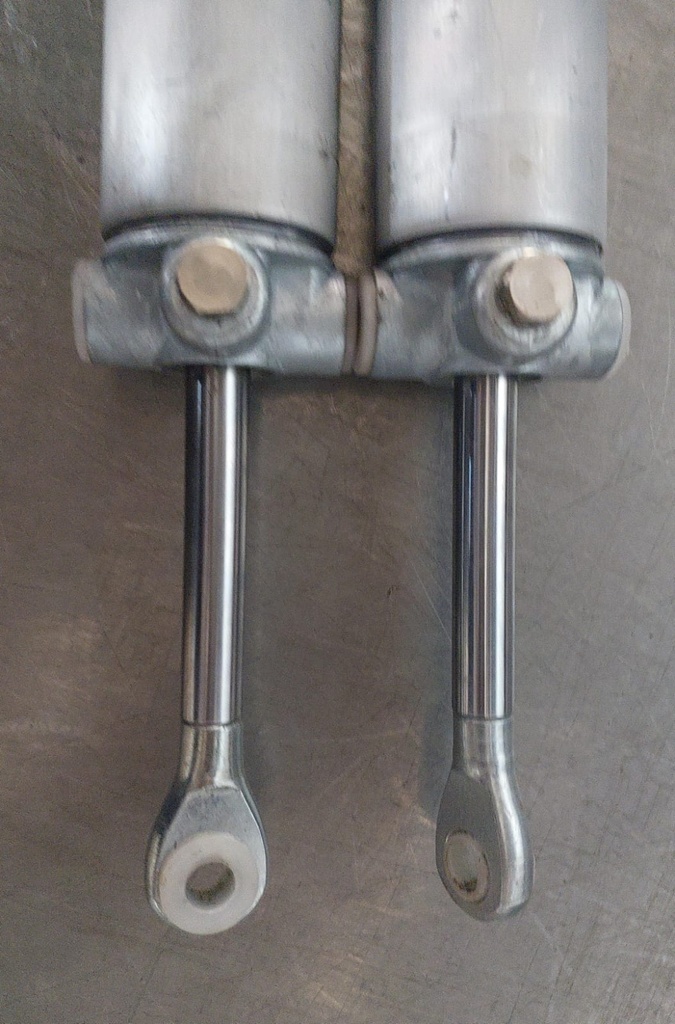 Cilindros de elevación hidráulica del pistón del techo para Ford Mustang 1999-2004