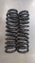 Espirales delanteros para Toyota Tacoma 1995-2000