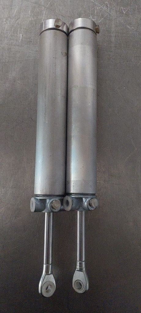 Cilindros de elevación hidráulica del pistón del techo para Ford Mustang 1999-2004