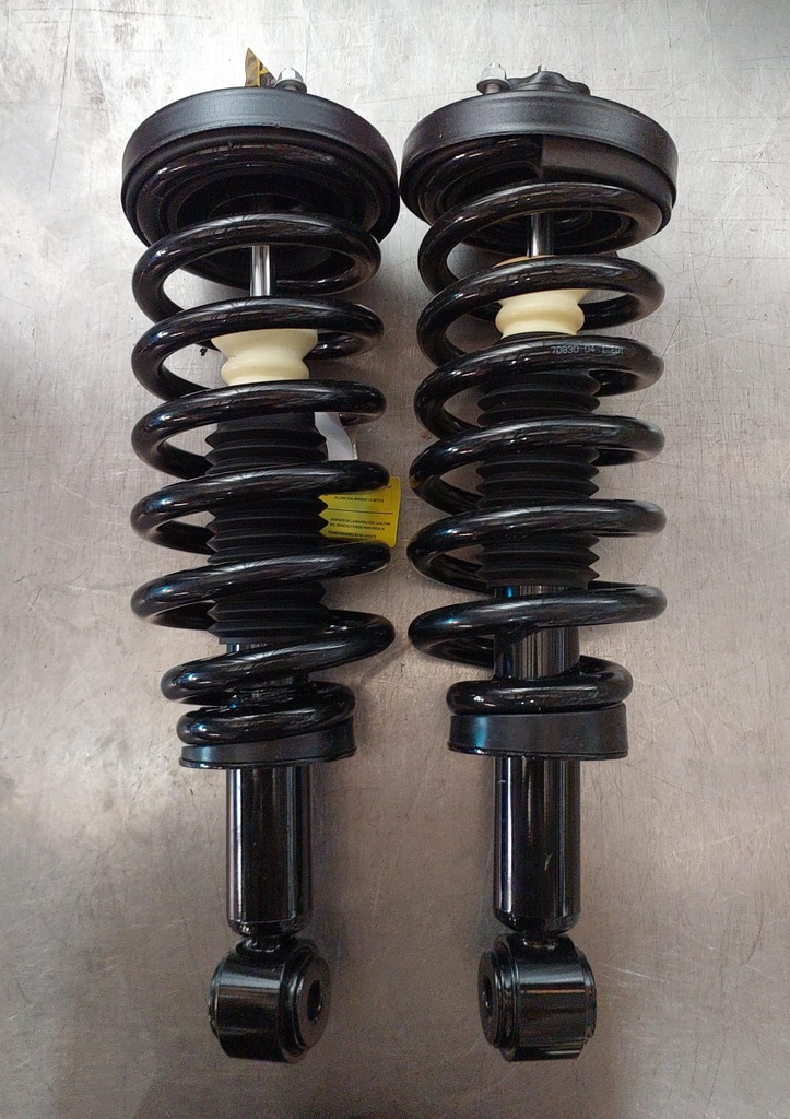 Compensadores traseros para Ford Expedition 2003-2006