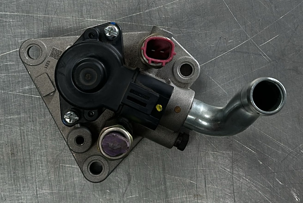 Válvula de control de aire Máxima 1995 a 1998 V6 3.0L (Con detalle)