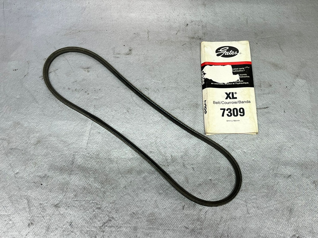 CORREA XL 7309