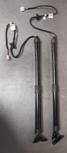 Pistones electricos de compuerta para Toyota RAV4 2013-2016