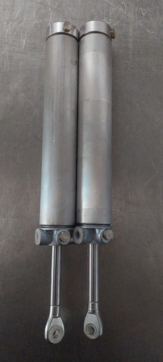 Cilindros de elevación hidráulica del pistón del techo para Ford Mustang 1999-2004
