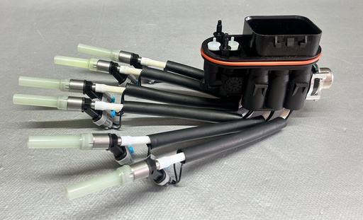 Inyección para Motores GM 4.3L 1996 al 2014