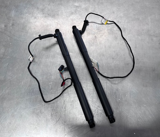 Compensadores de Compuerta BMW X5 E70LCI Sport Utility 2007-2013 4 puertas.
